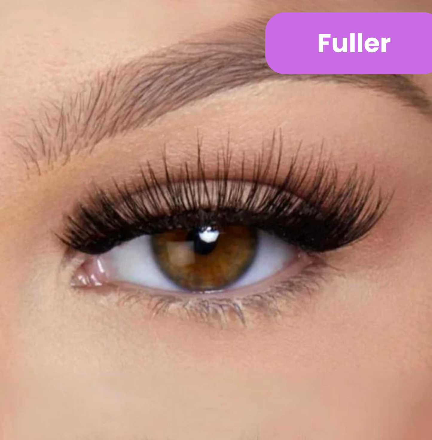 Magnetic Lashes